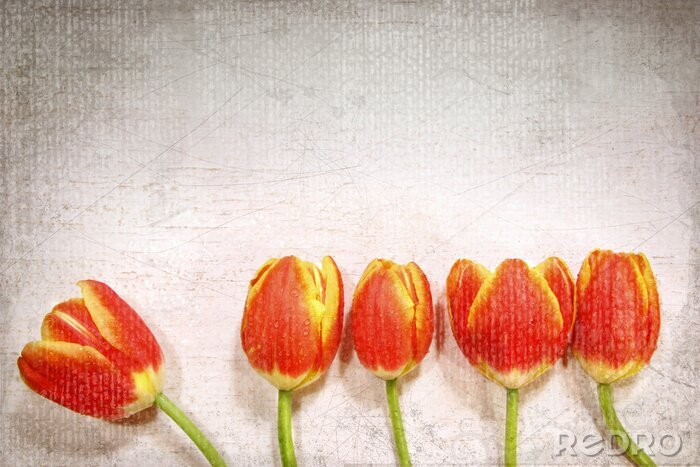 Tableau  Cinq tulipes