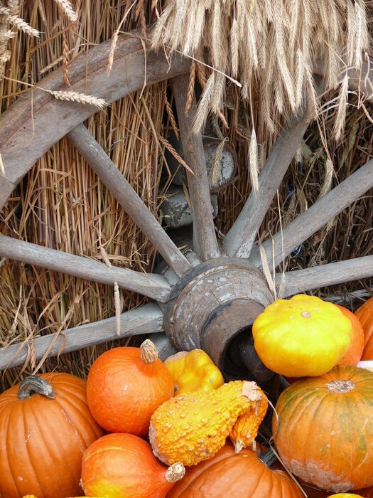 Tableau  Citrouille et céréales