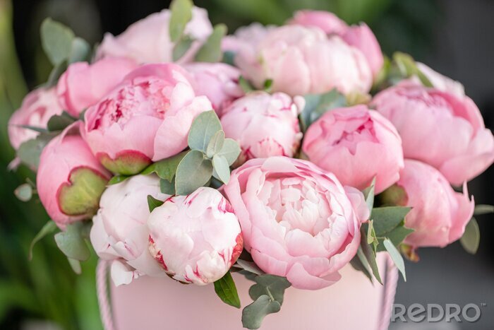 Tableau  Close-up of flowers Pink peonies . Beautiful peony flower for catalog or online store. Floral shop concept . Beautiful fresh cut bouquet. Flowers delivery
