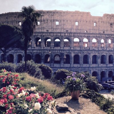 Tableau  Colisée de Rome et nature