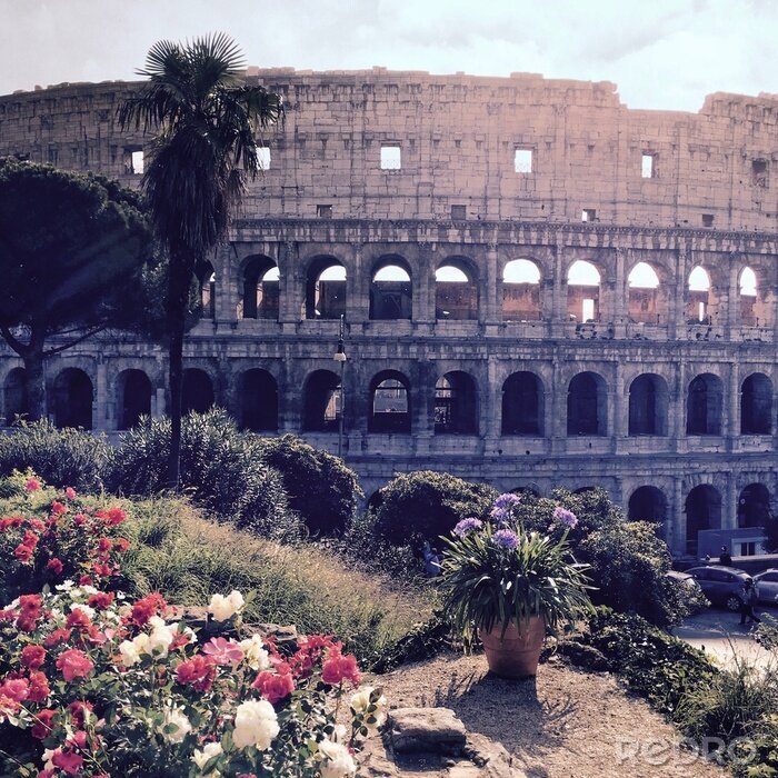 Tableau  Colisée de Rome et nature