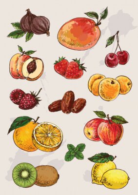 collection de dessin à main isolé fruits