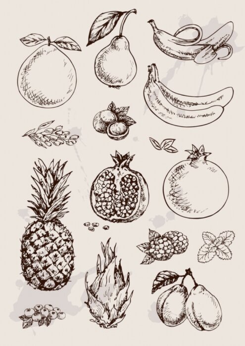 Tableau  collection de dessin à main isolé fruits