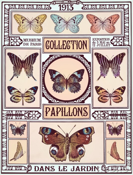 Tableau  Collection vintage papillons