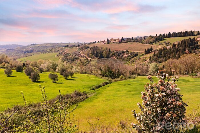 Tableau  collines de la Toscane, Italie