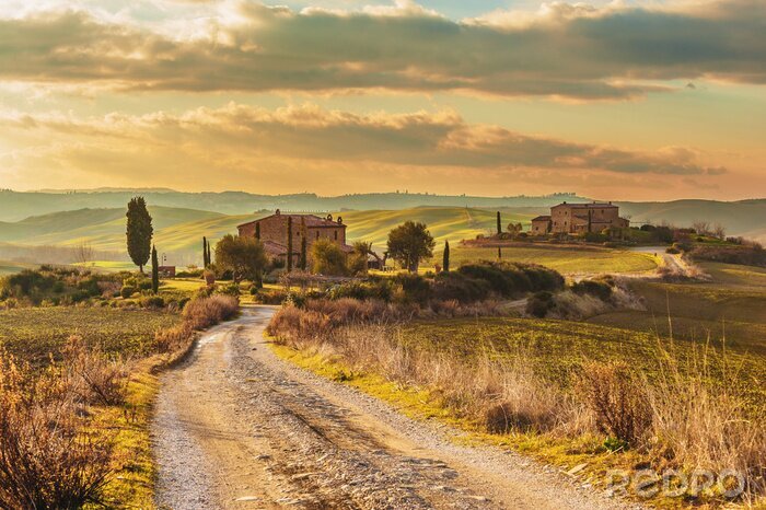 Tableau  Collines en Toscane paysage idyllique
