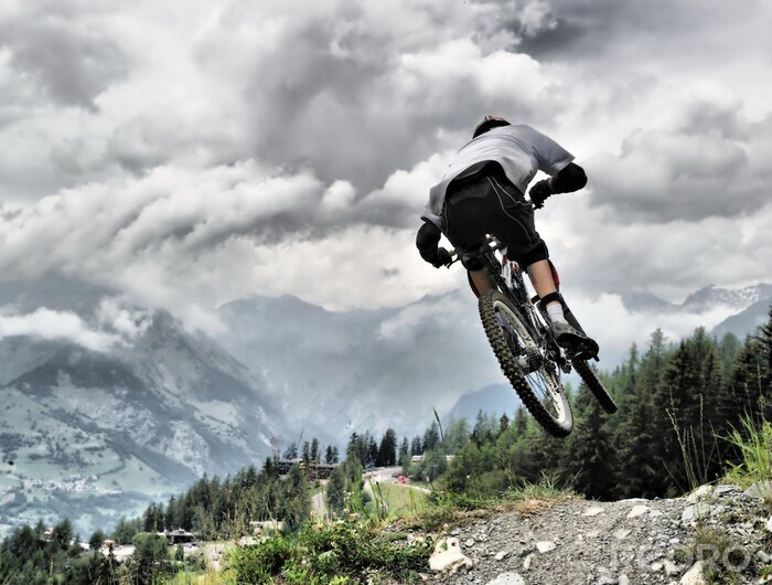 Tableau  Compétition sportive cyclisme