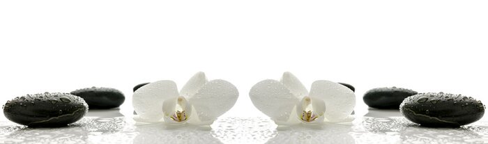 Tableau  concept de Spa