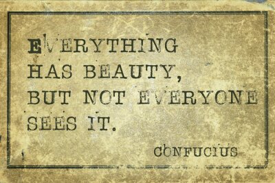 Confucius sur la beauté