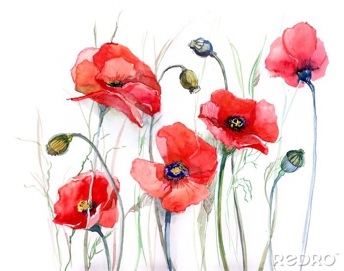 Tableau  Coquelicots peints