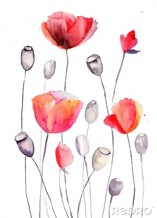 Tableau  Coquelicots rouges et têtes de pavot