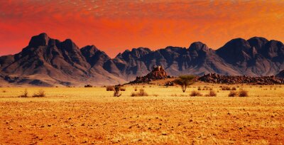 Tableau  Coucher de soleil coloré dans le désert de Namib, en Namibie .
