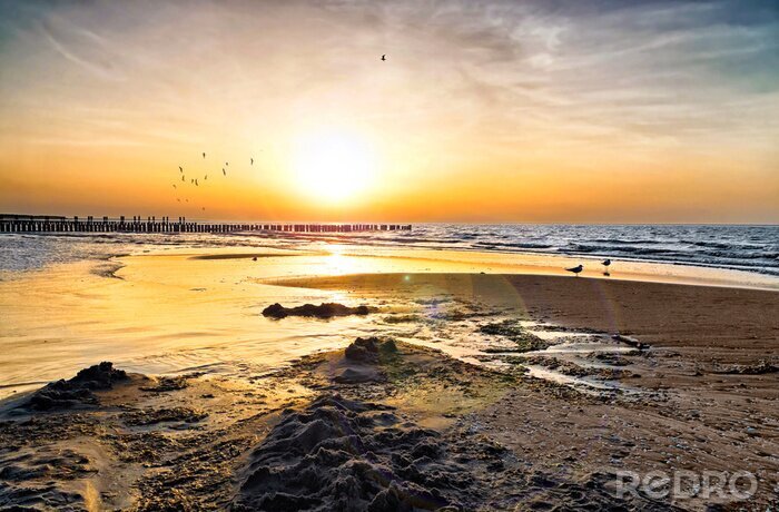 Tableau  Coucher de soleil : les oiseaux et la mer