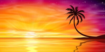 Coucher de soleil, lever de soleil avec le palmier