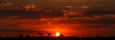 Tableau  Coucher de soleil - PN de Chobe Botswana, Afrique
