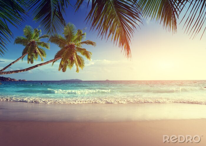 Tableau  Coucher de soleil sur les tropiques