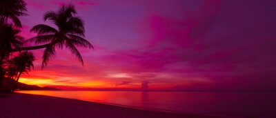 Tableau  Coucher de soleil tropical avec des palmiers silhouette panorama
