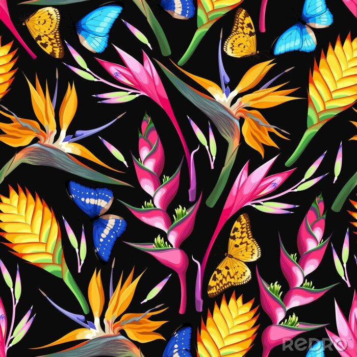 Tableau  Couleurs tropicales