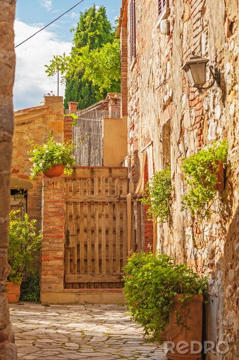Tableau  Cour ensoleillée et maison ancienne