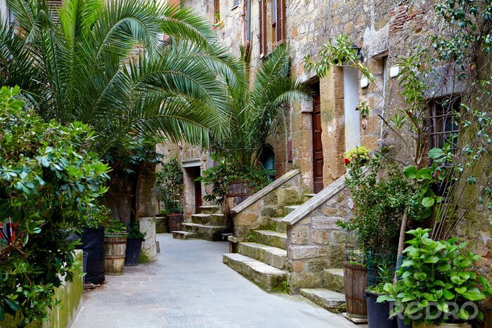 Tableau  Cour exotique maison en pierre