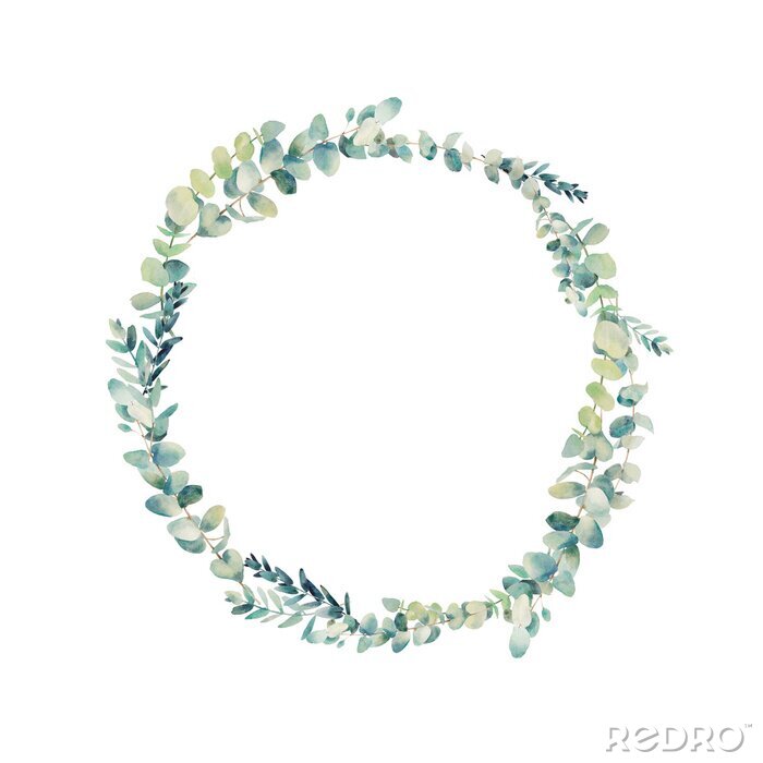 Tableau  Couronne d'eucalyptus Aquarelle. Cadre rond floral peint à la main isolé sur fond blanc.