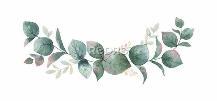 Tableau  Couronne de vecteur aquarelle avec des feuilles et des branches d'eucalyptus vert.