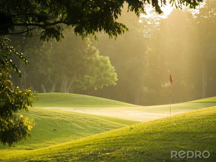Tableau  Cours de golf