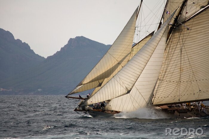 Tableau  Course de voiliers en mer