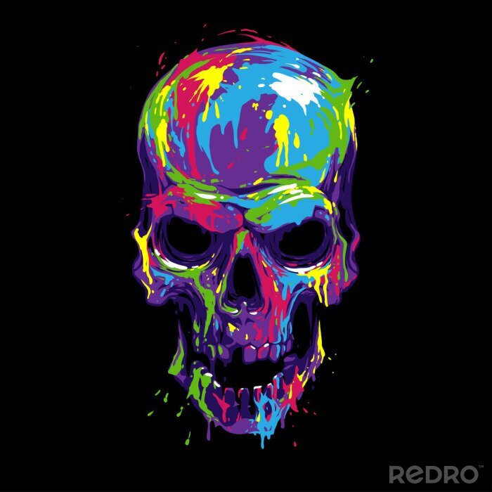 Tableau  Crâne en peinture de couleur