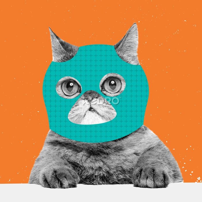 Tableau  Creative portrait of cute cat wearing drawn balaclava isolated on bright neon background. Inspirative art, pets, animal, humor and fashion concept.