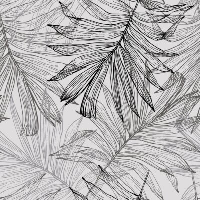 Croquis de feuilles de palmier exotiques
