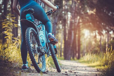 Tableau  Cycliste, équitation, mountain bike, forêt