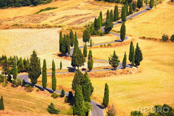 Tableau  Cyprès route panoramique à Monticchiello près de Sienne, en Toscane, je