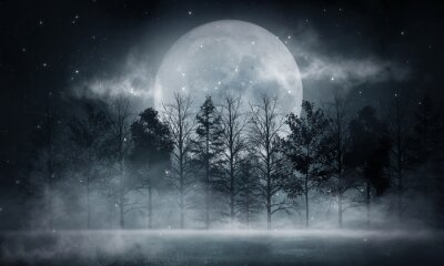Tableau  Dark forest. Gloomy dark scene with trees, big moon, moonlight. Smoke, shadow. Abstract dark, cold street background. Night view.