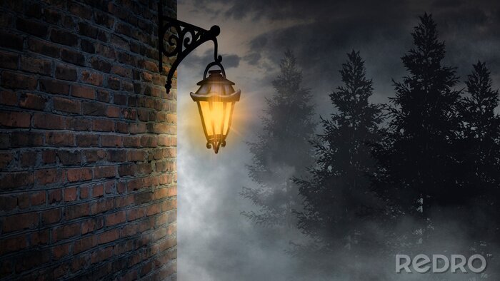 Tableau  Dark street, a lantern on an old brick wall, a large moon, smoke, smog. Night scene of the old city, dark forest.