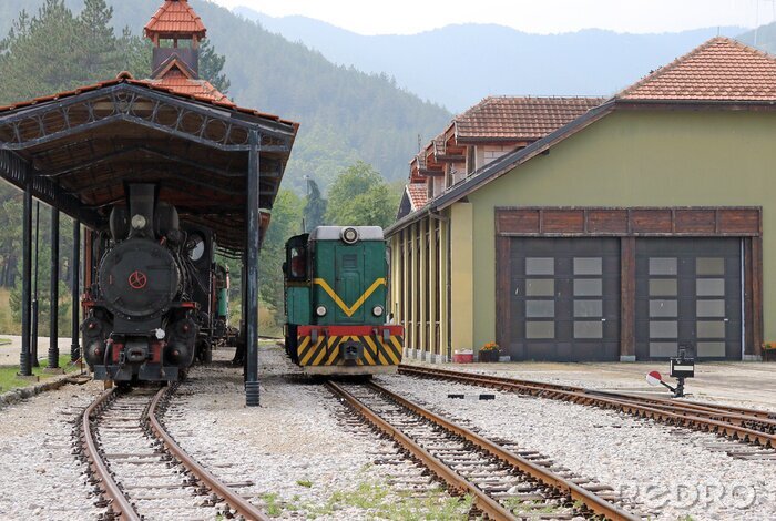 Tableau  de gare avec des trains anciens