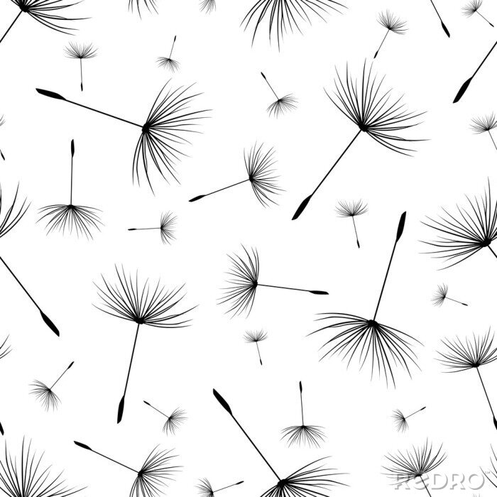 Tableau  Décoration moderne pissenlit noir et blanc