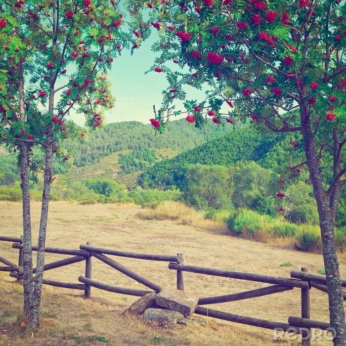 Tableau  Des collines vues d'un ranch