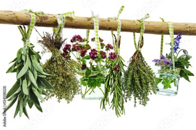 Tableau  Des herbes sèchent sur une branche