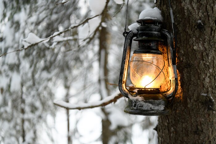 Tableau  des merveilles d'hiver