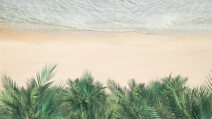 Tableau  Des palmiers du littoral vus du ciel