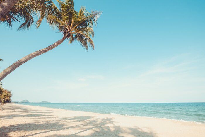 Tableau  Des palmiers sur l'océan infini