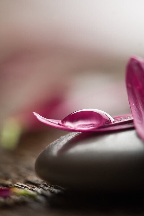 Tableau  Des pétales de fleurs