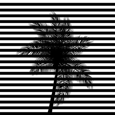 Des rayures noires et un palmier