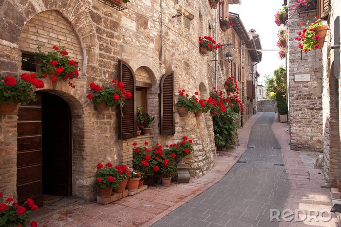 Tableau  Des ruelles charmantes avec des fleurs rouges