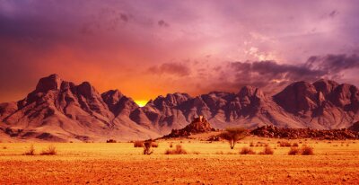 Tableau  désert du Namib