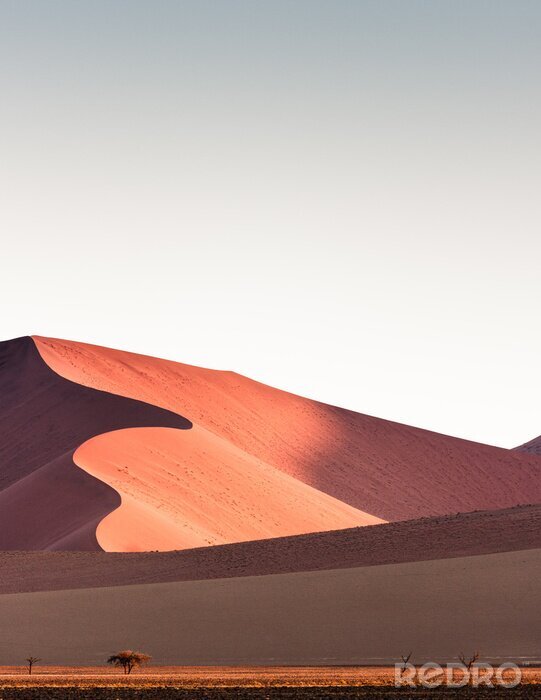 Tableau  Désert du Namib, dunes de sable au coucher du soleil, Sossusvlei, Namibie, Afrique