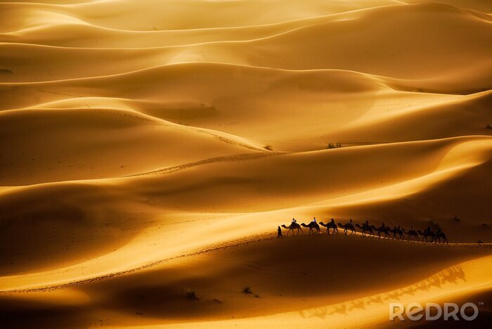 Tableau  désert du Sahara