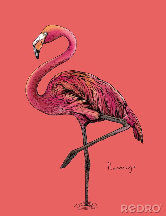 Tableau  dessin flamant rose