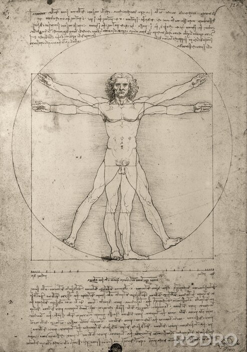 Tableau  Dessin Leonardo da Vinci